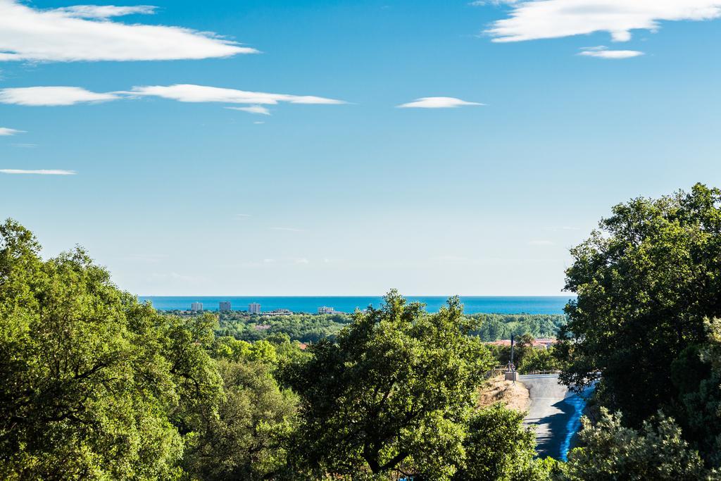 Domaine Des Mimosas Apartman Argelès-sur-Mer Kültér fotó